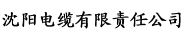 香蕉视频播放器下载电缆厂logo